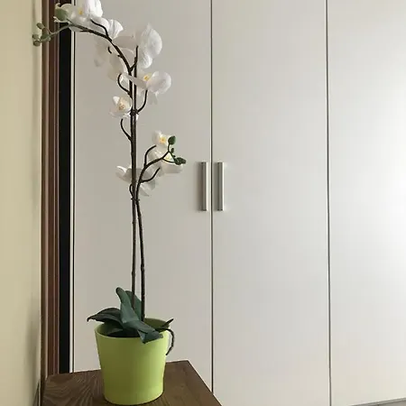 Marina Studio Apartment *